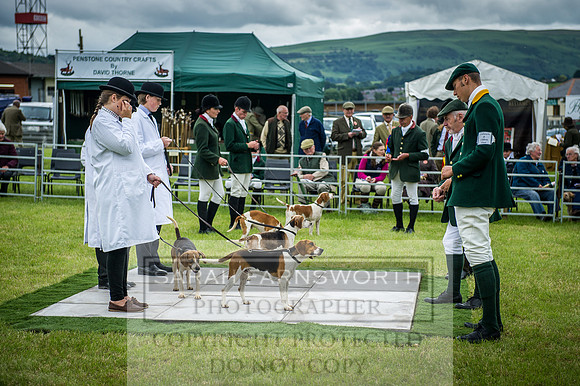 Builth Hound Show 2016-121