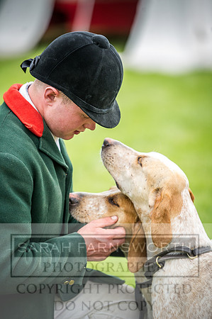 Builth Hound Show 2016-152