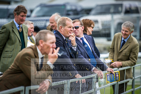 Builth Hound Show 2016-44