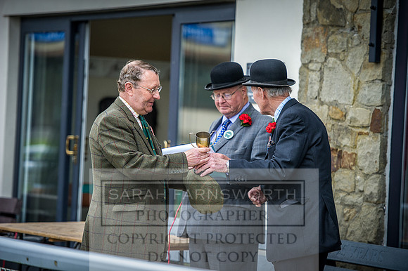 Builth Hound Show 2016-309