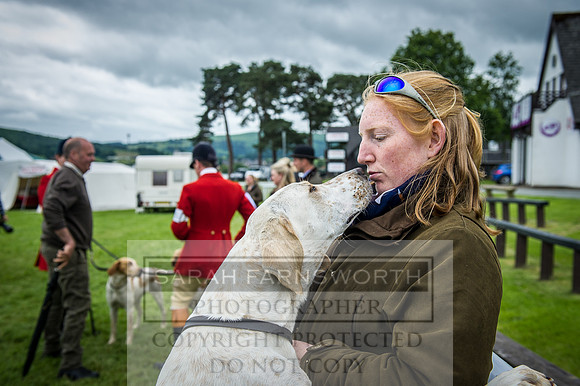 Builth Hound Show 2016-226