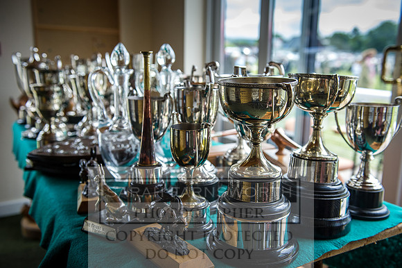 Builth Hound Show 2016-133