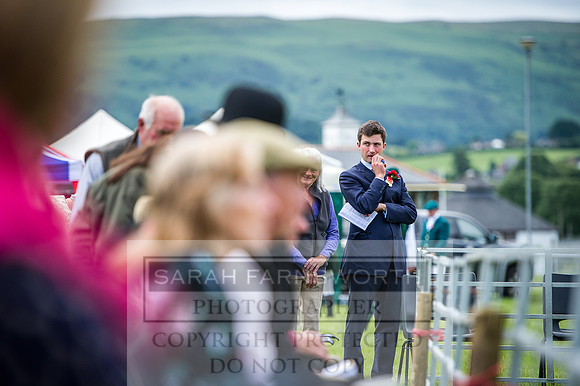 Builth Hound Show 2016-7