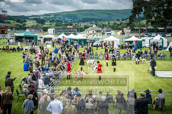 Builth Hound Show 2016-92