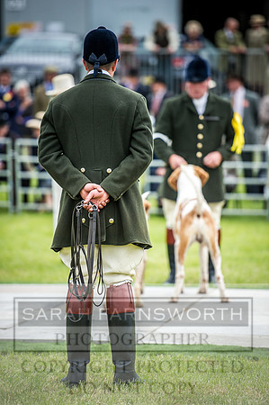 Builth Hound Show 2016-98