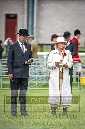 Builth Hound Show 2016-1