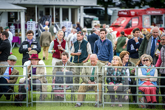Builth Hound Show 2016-113