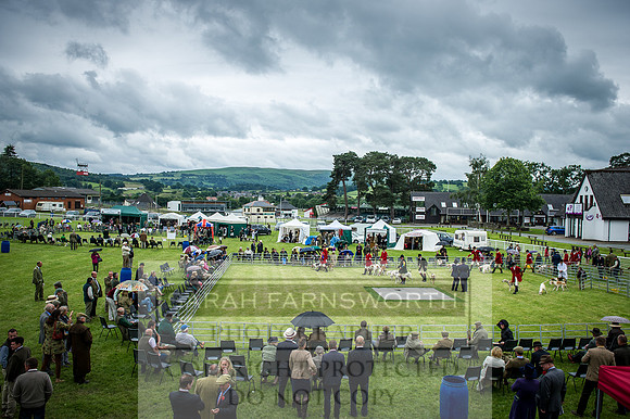 Builth Hound Show 2016-218