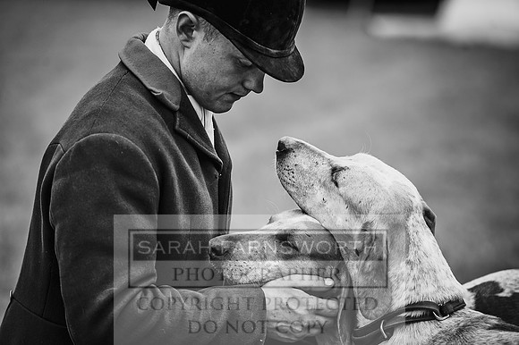 Builth Hound Show 2016-154