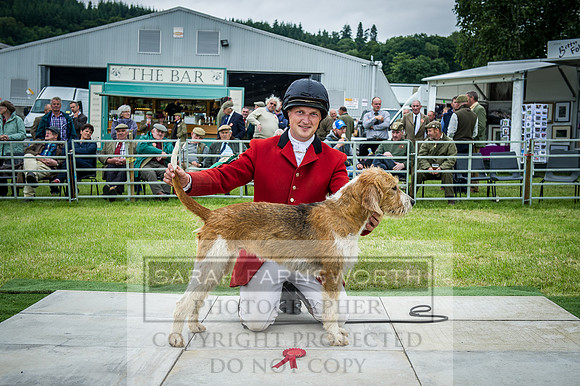 Builth Hound Show 2016-230