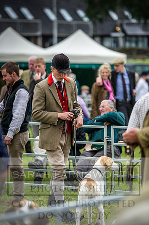 Builth Hound Show 2016-173