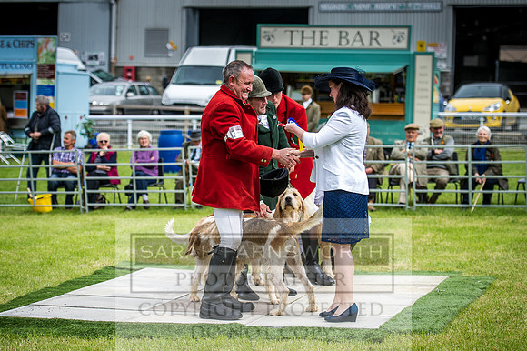 Builth Hound Show 2016-28