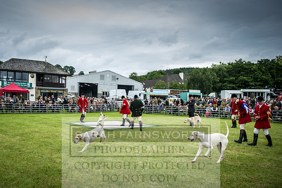 Builth Hound Show 2016-107