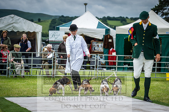 Builth Hound Show 2016-77