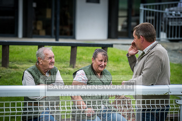 Builth Hound Show 2016-216