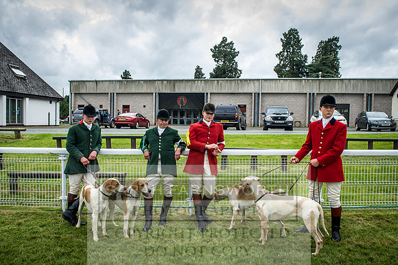 Builth Hound Show 2016-190