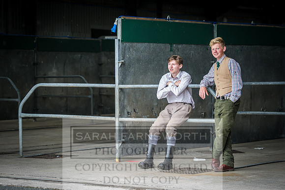 Builth Hound Show 2016-217