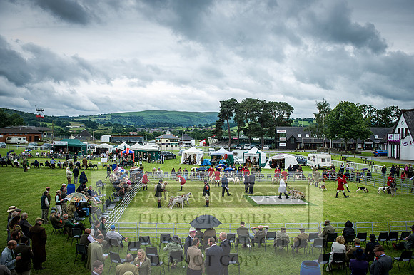 Builth Hound Show 2016-220
