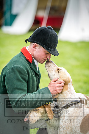 Builth Hound Show 2016-150