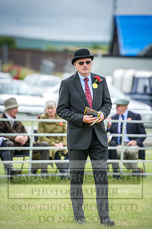 Builth Hound Show 2016-30