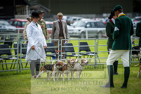 Builth Hound Show 2016-80