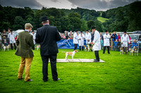 Rydal Hound Show 2016-8