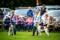 Rydal Hound Show 2016-12