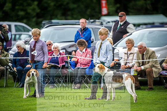 Rydal Hound Show 2016-12