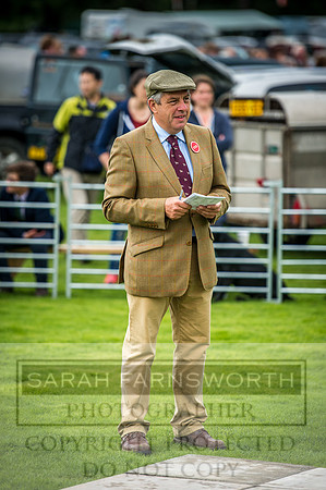 Rydal Hound Show 2016-19