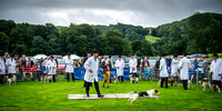 Rydal Hound Show 2016-5