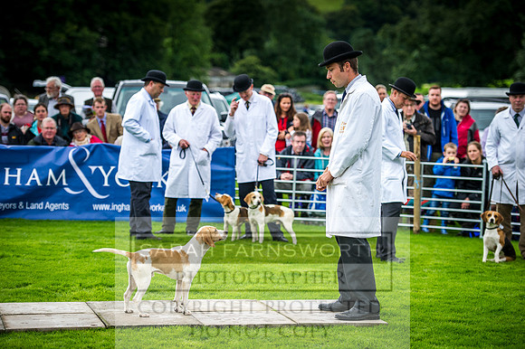 Rydal Hound Show 2016-9