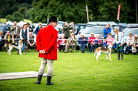 Rydal Hound Show 2016-15