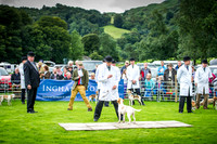 Rydal Hound Show 2016-6