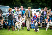 Rydal Hound Show 2016-13