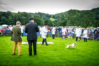 Rydal Hound Show 2016-7