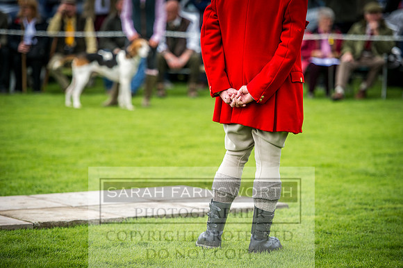 Rydal Hound Show 2016-14