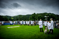 Rydal Hound Show 2016-2
