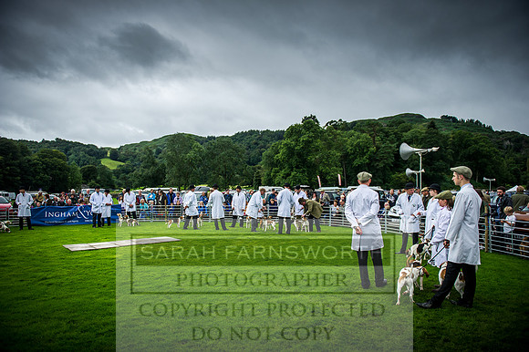 Rydal Hound Show 2016-2