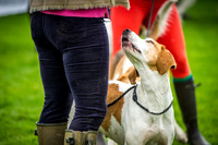 Rydal Hound Show 2016-10