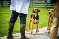 Rydal Hound Show 2016-17
