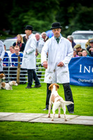 Rydal Hound Show 2016-3