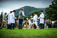 Rydal Hound Show 2016
