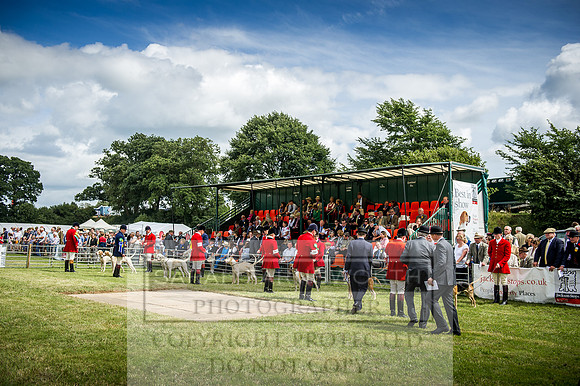 Honiton Hound Show 2016-154