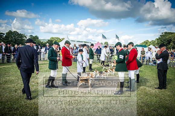 Honiton Hound Show 2016-246