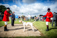 Honiton Hound Show 2016-9