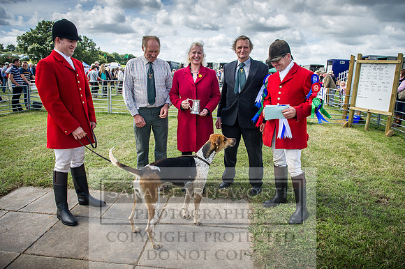 Honiton Hound Show 2016-115