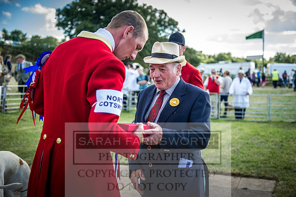 Honiton Hound Show 2016-266