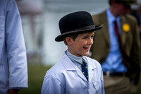 Honiton Hound Show 2016-20