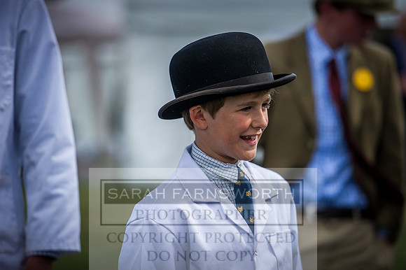 Honiton Hound Show 2016-20