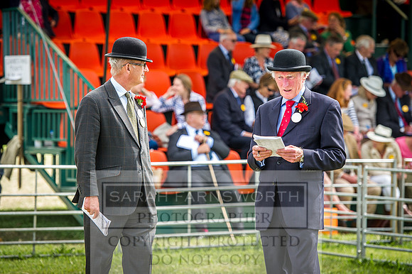 Honiton Hound Show 2016-210